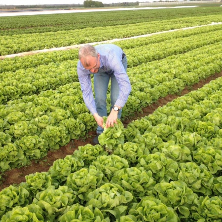 Größeres Bild ansehen